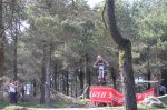 IMG_0993_redimensionar.JPG