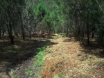 2011-06-13 16_01.25.05.JPG