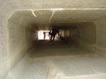Copia de DSC02235.JPG