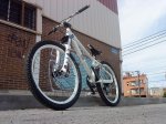DSC00293.jpg