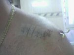 imagen_043__195.jpg