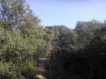 foro30122006 011.jpg