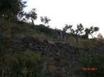 CIMG9713.jpg