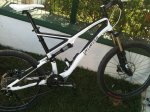 stumpy02 (Copiar).JPG