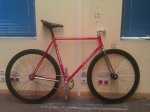 pinarello.jpg