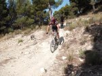 DSCF0454 (Copiar).JPG