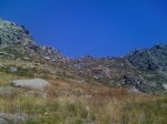 IMG_0319.JPG
