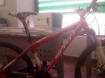 IMG00026-20110628-1149.jpg
