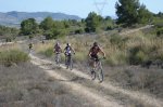 Copia de DSC02273_800x533.jpg