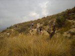 DSC00118.jpg