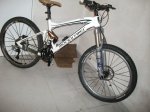 foxy 160 002.jpg