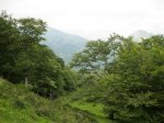 BOSQUE DE PELOÑO (70).JPG