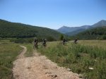 BOSQUE DE PELOÑO (47).JPG