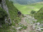 BOSQUE DE PELOÑO (11).JPG
