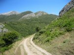 BOSQUE DE PELOÑO (36).JPG