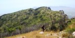 DSC07269r.jpg