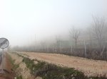 DSC00703_resize.JPG