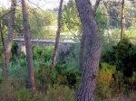 P8110131-1.JPG
