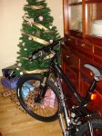 DSC03744.jpg
