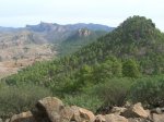 DSCN1297.JPG