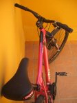DSCF2502.JPG