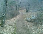 Imagen010.jpg