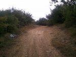 Foto0043.jpg