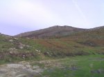 14012007362.jpg
