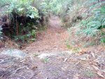 DSC09852.JPG