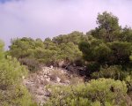 P250911_17.37r.jpg