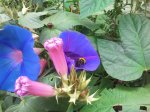 2011-09-29 11.58.40.jpg