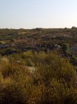 IMG-20111002-00280.jpg
