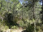DSC04184.JPG