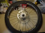 Peces bici 007.jpg