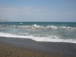 triatlon malaga 2011 715.jpg