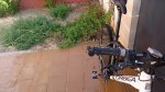 DSC01079.JPG