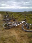 05032010220_450x600.jpg