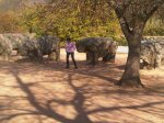 San Martín de Valdeiglesias-20111106-00082.jpg