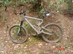 BICI FORO0.JPG