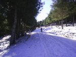 PIC_0009.JPG