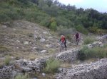 DSC04385.JPG