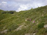 DSC04392.JPG