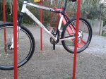 2011-11-19 16.58.34.jpg