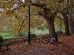 DSC04446.JPG