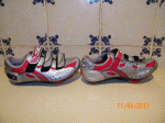 sidi 40-1.gif