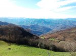 2011-12-03 12.41.23.jpg