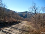 IMG_7434.jpg