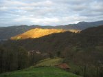 IMG_2628.JPG