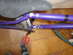DSC01175.JPG