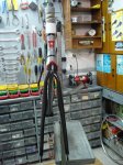 DSC089951.jpg